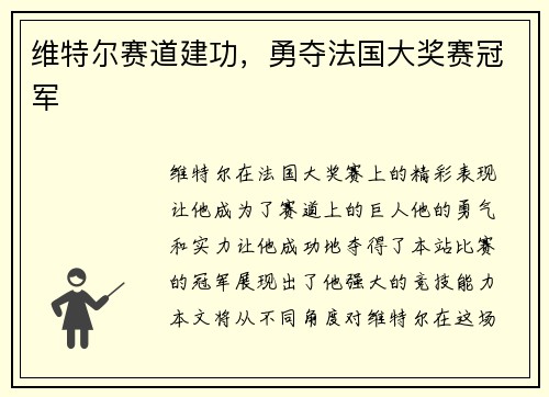 维特尔赛道建功，勇夺法国大奖赛冠军